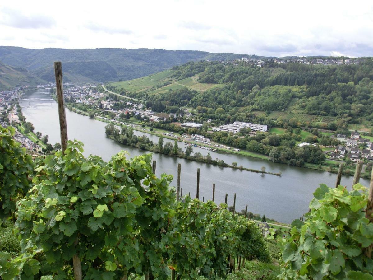 Beim Winzer Apartment Zell an der Mosel Exterior foto